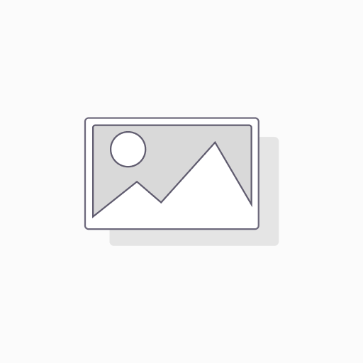 Foil-Accent Premium Posters